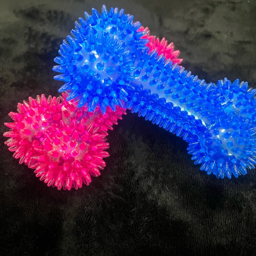 The extravagant dog toy bundle